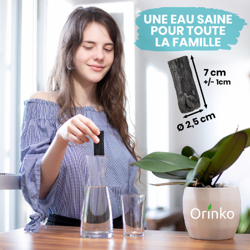 Orinko - Wholesale Water Filter - Japanese Binchotan Activated Charcoal from Wakayama (Size M-1kg)7