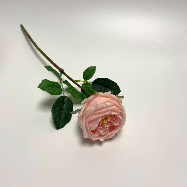 JKF & Co Pty Ltd - Wholesale Artificial Flowers - Real Touch Single Stem David Austin Roses Pink