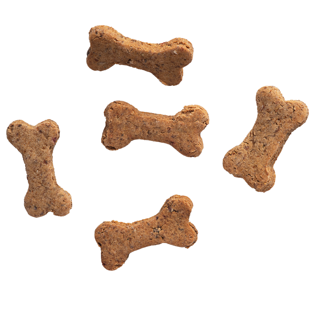 Belpharmed bv: Cooka's Cookies & Sensidog - Vendita all'ingrosso Snack - Cani - Beef Bones - Dolcetti naturali per cani2