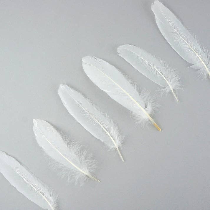 Zucker Feather Products - Wholesale Feathers - Loose Goose Satinettes Dyed - White2