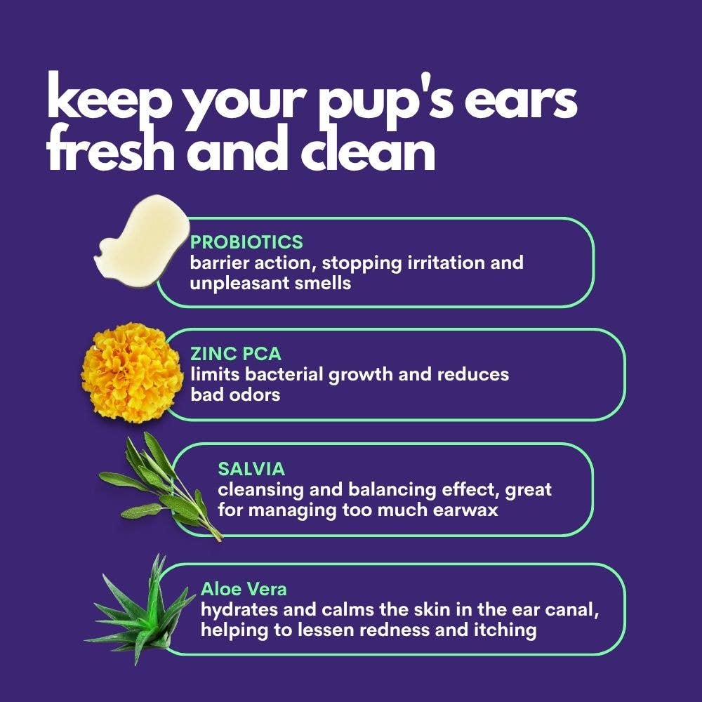 JAMPY - Wholesale Pet Cleaning Supplies - Clear 99% Natural Eardrops For Dogs by Jampy3