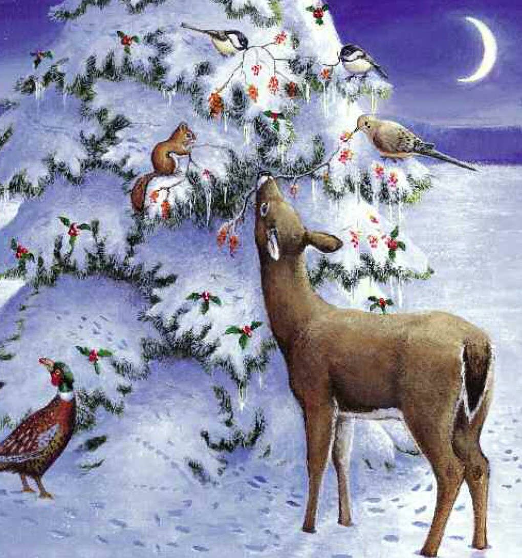 Sleeping Bear Press - Wholesale Baby & Toddler Book (0-2) - A Wish to be a Christmas Tree Board Book4