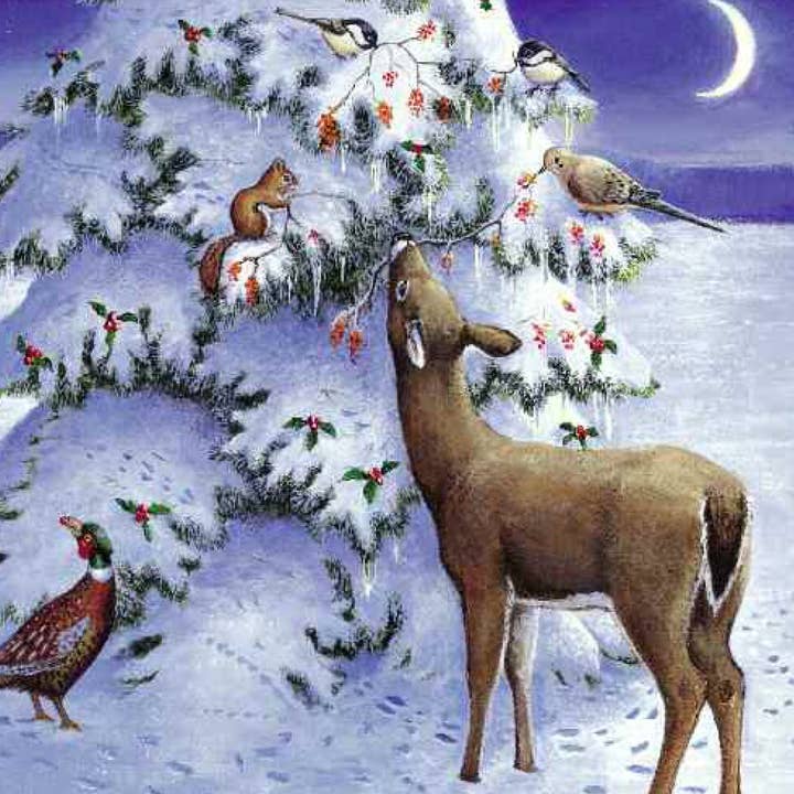 Sleeping Bear Press - Wholesale Baby & Toddler Book (0-2) - A Wish to be a Christmas Tree Board Book4