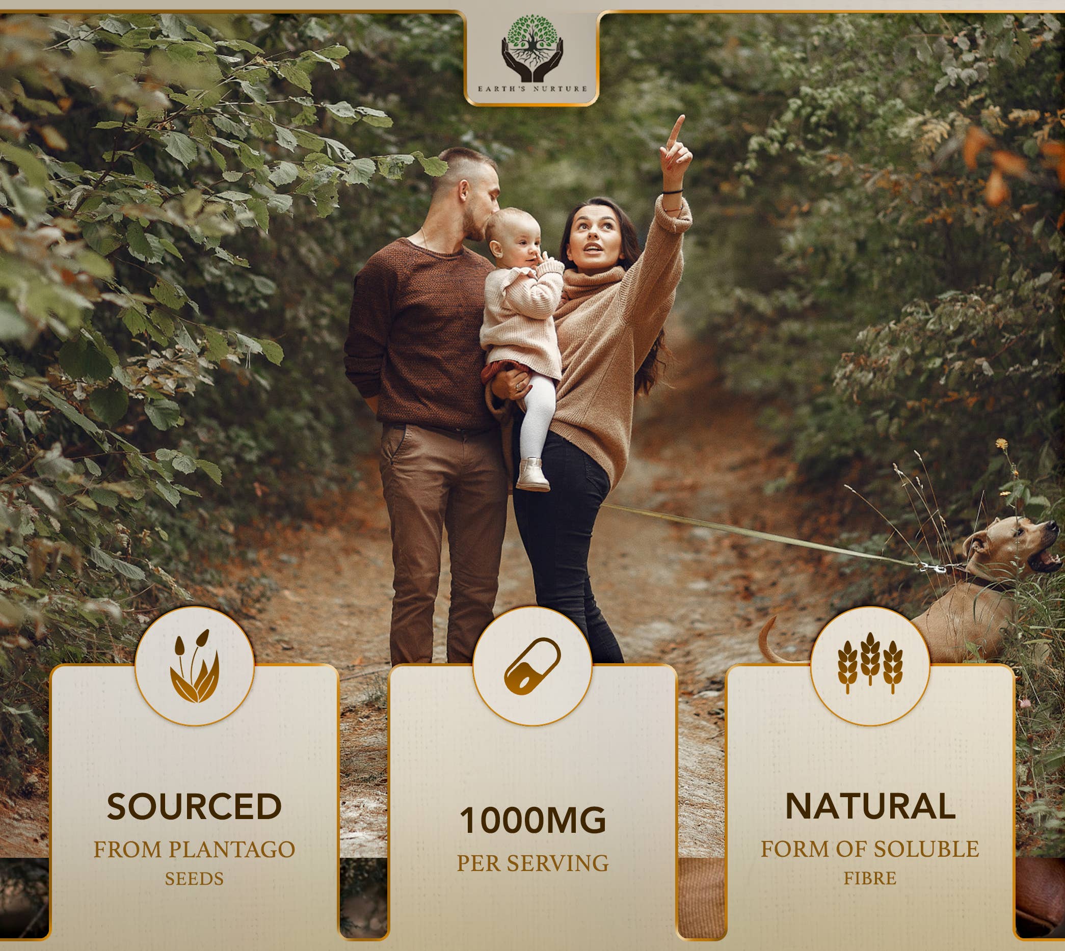 Focus Supplements - Wholesale Oral Supplement/Vitamin - Psyllium Husk (500mg) 180 Capsules5