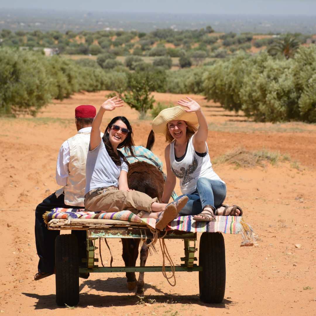 Katari Beauty - Wholesale Skincare Face Mask - FACIAL MASQUE | Acne, Blackheads Detox pH-Neutral Green Clay8