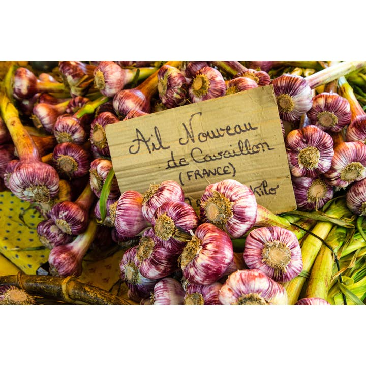 Ail violet du marché français, impression horizontale sur métal pour la vente par Tocquigny Travel Photography