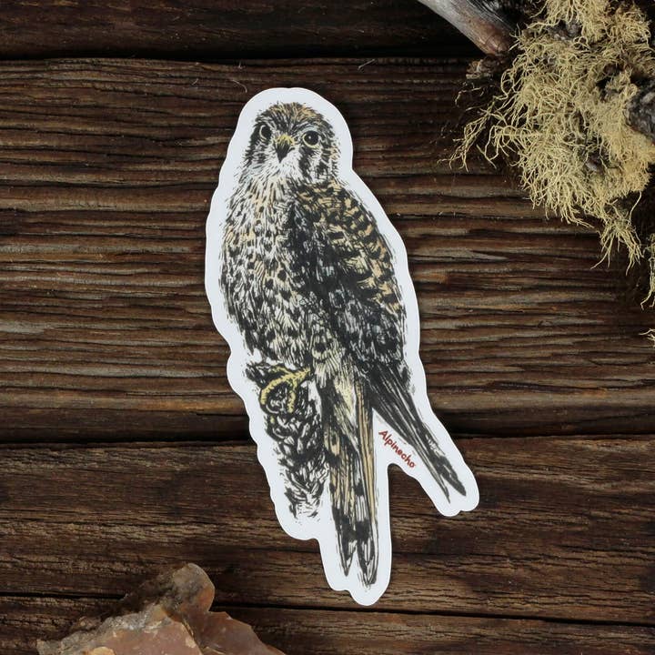 Alpinecho - Wholesale Sticker - Kestrel Sticker