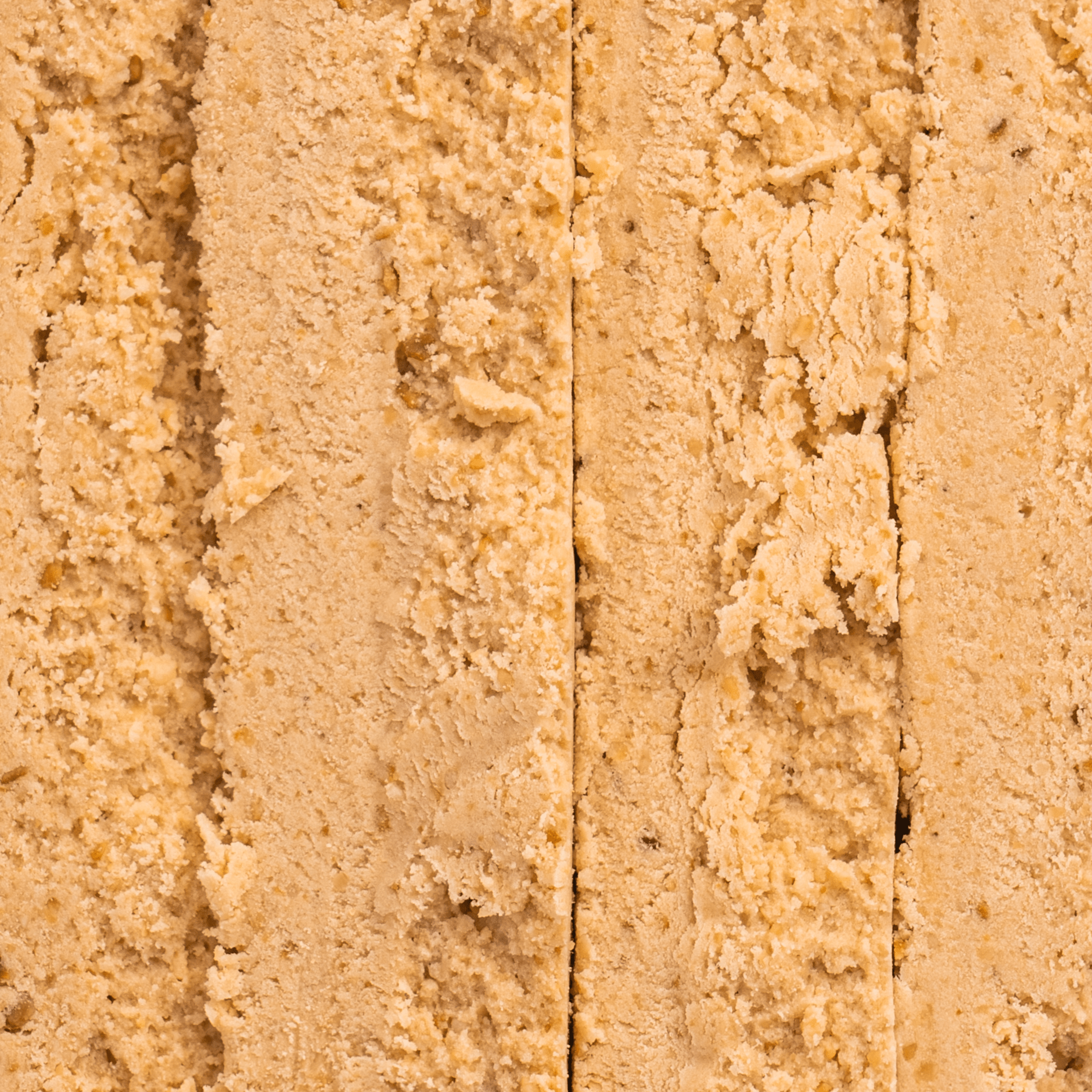 FIZI – wholesale Snack bar – PROTEIN "HAZELNUT" 10x45G6