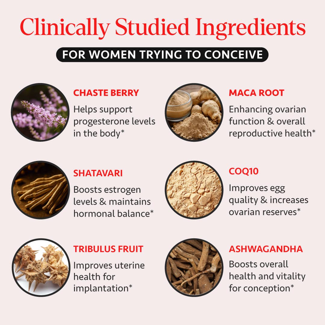 Osh Wellness - Ayurvedic Wellness - Wholesale Oral Supplement/Vitamin - Women's Fertility Support - Ayurvedic Conception Support3