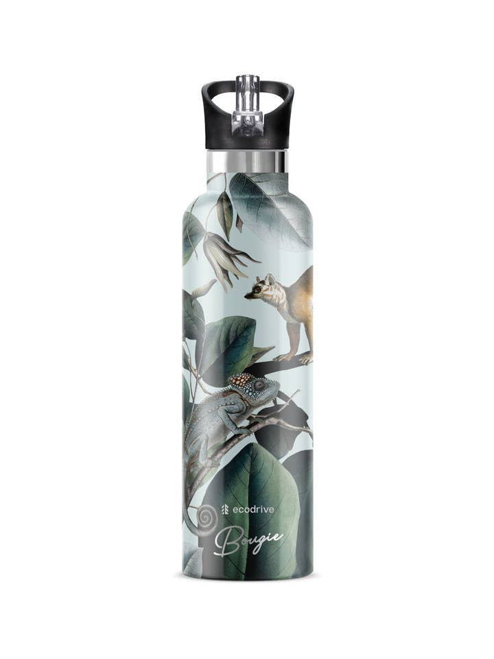 EcoDrive Lemur – Regenwald Isolier-Wasserflasche | 750ml für den Großhandel von My Bougie Bottle