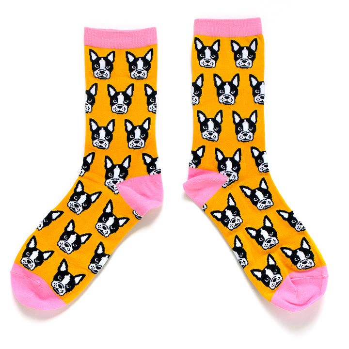 Smarty Pants Paper - Wholesale Socks - Women's - Boston Terrier socks4