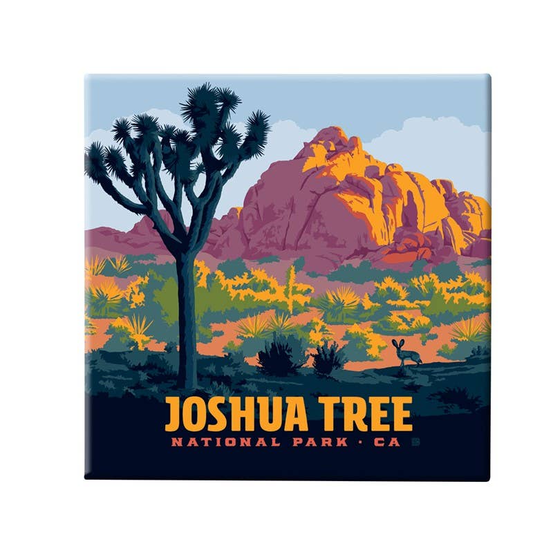 Tourist Courts - Wholesale Magnet - Joshua Tree NP Jack Rabbit Square Magnet0