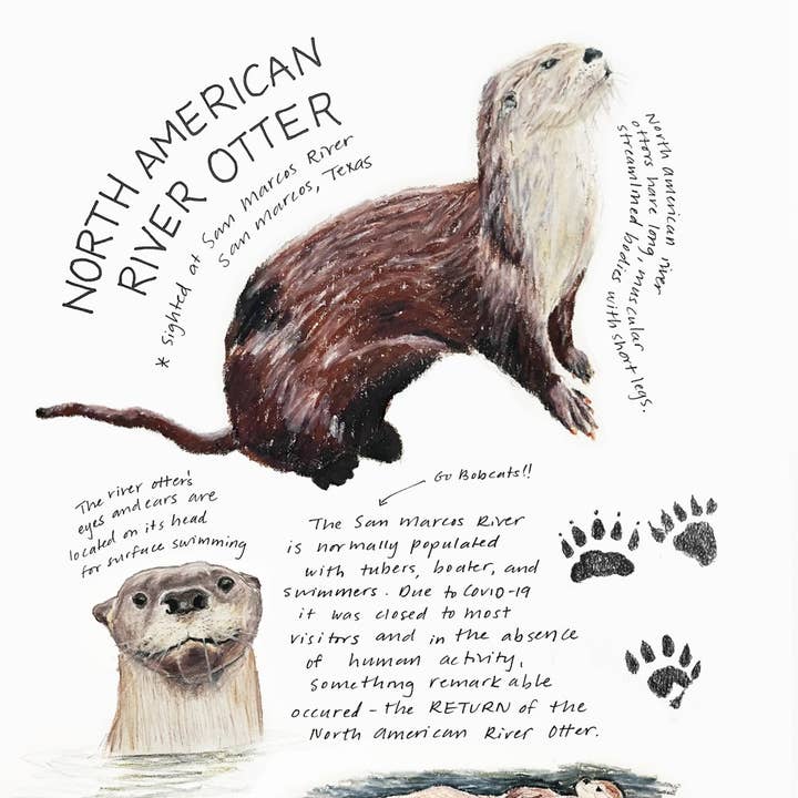 REMOVED BRAND - Wholesale Crafts, Hobbies & DIY - Wild and Woolly Knitted Animals: A Naturalist's Notebook5