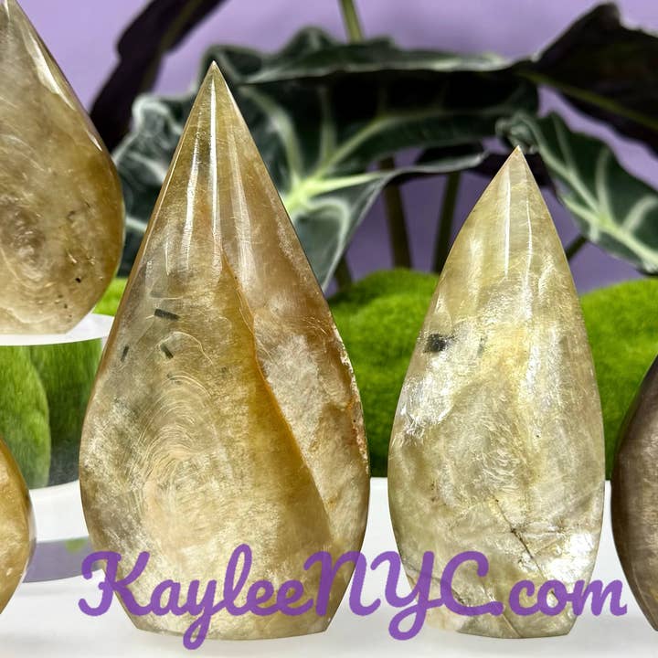 KayleeNYC - Wholesale Spiritual Stone/Crystal - 6-7 PCs Natural Muscovite Golden Mica Freeform Healing