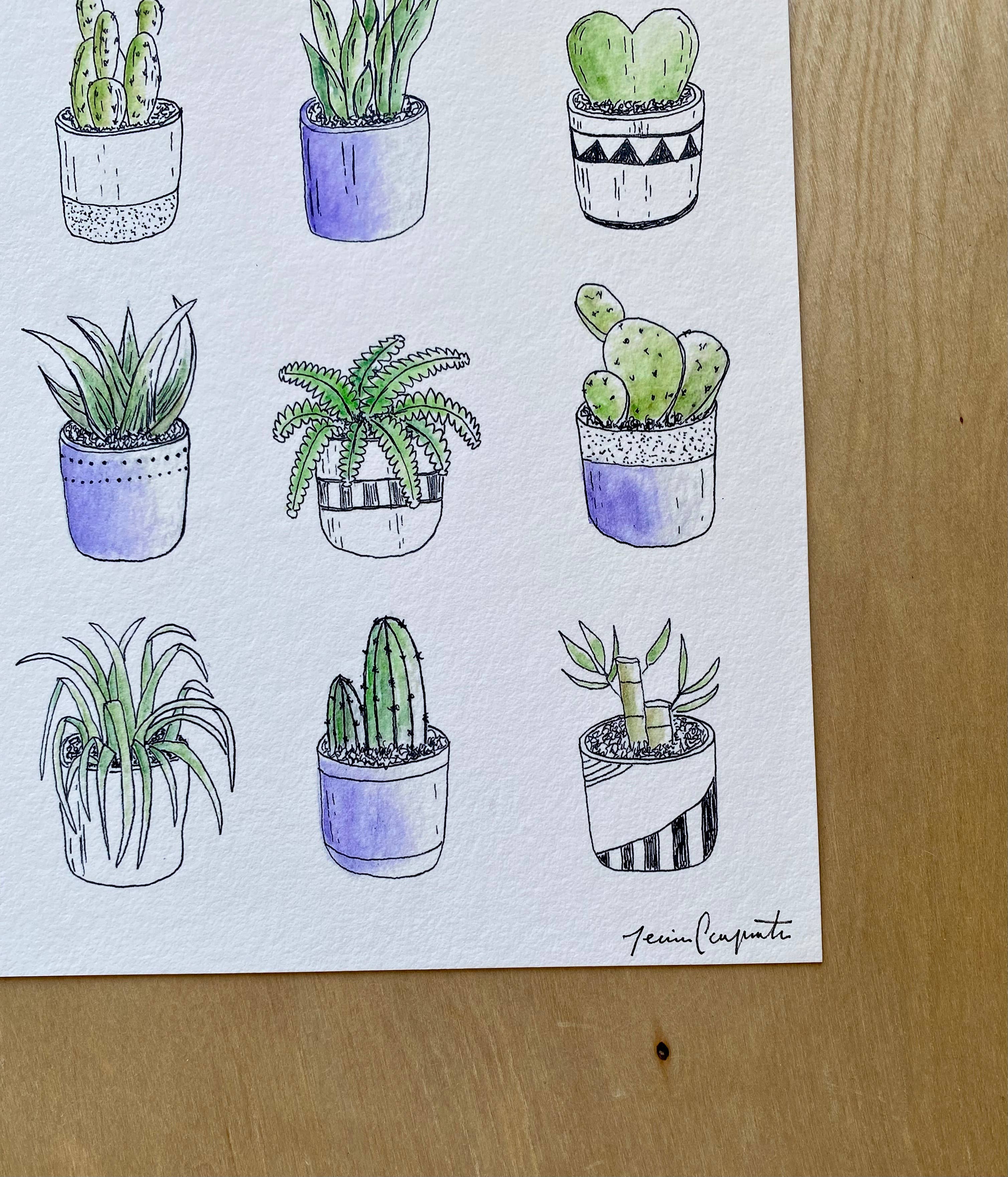 jcarp designs - Wholesale Art Print - Watercolor House Plant Art Print1