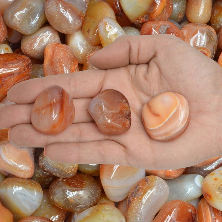 Fantasia Mining - Wholesale Spiritual Stone/Crystal - Tumbled Carnelian - L - A Grade - Brazil (1 lb)1