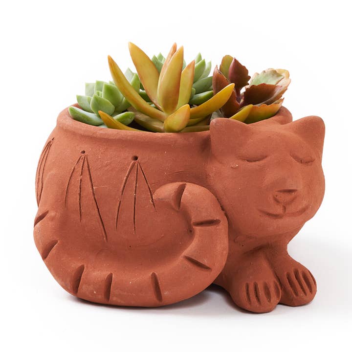 Matr Boomie Fair Trade - Wholesale Plant Pot - Rakshana Cat Plant Pot - Terracotta0