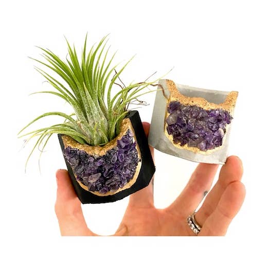 Black & Natural Concrete Planter & Air Plant, Amethyst for wholesale by Plant One On Me Designs