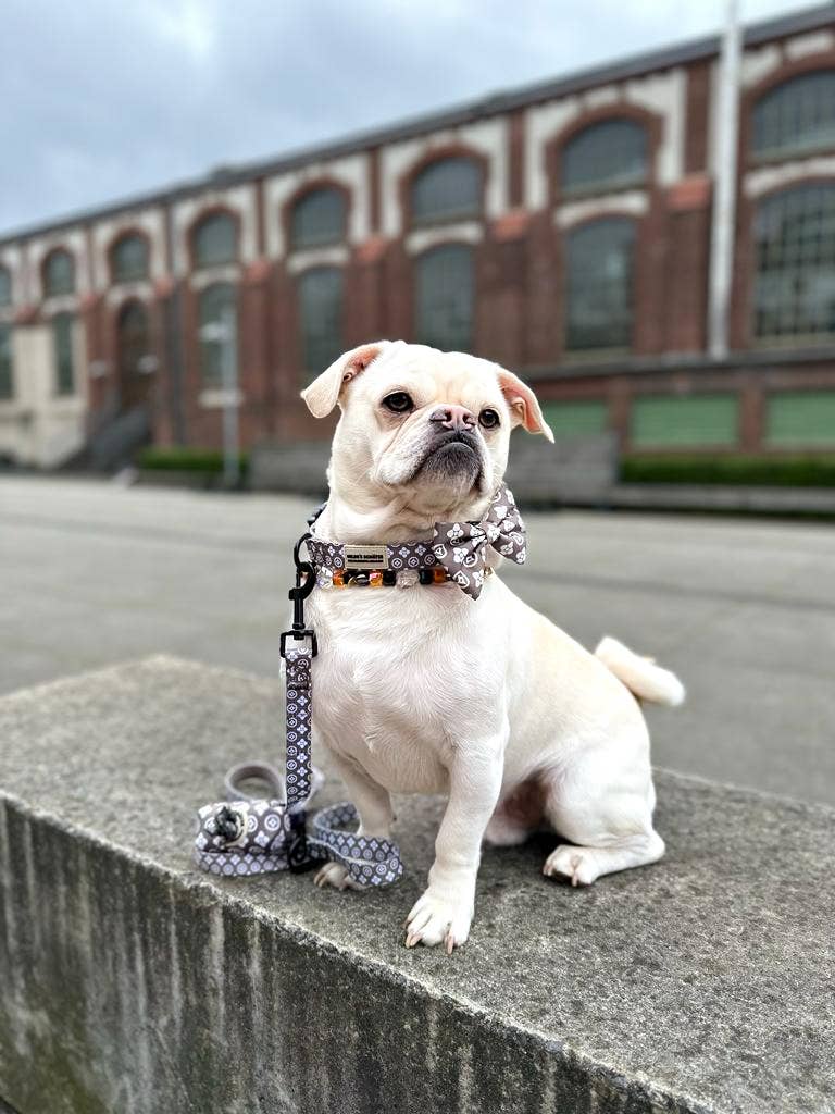 Hilde´s Schätze - Vendita all'ingrosso Guinzaglio - Cani - Guinzaglio per cani Luxor2