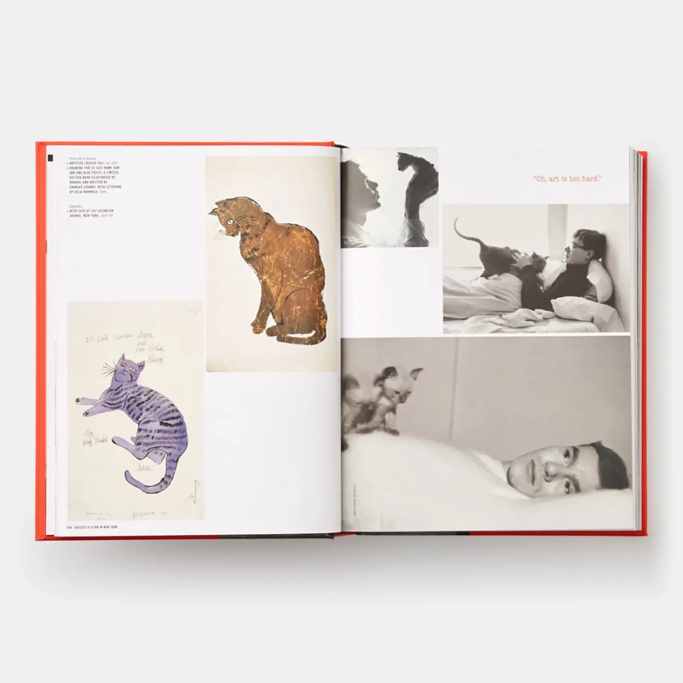 Phaidon - Wholesale Biography & Memoir - Andy Warhol Giantsize: Gift Format1