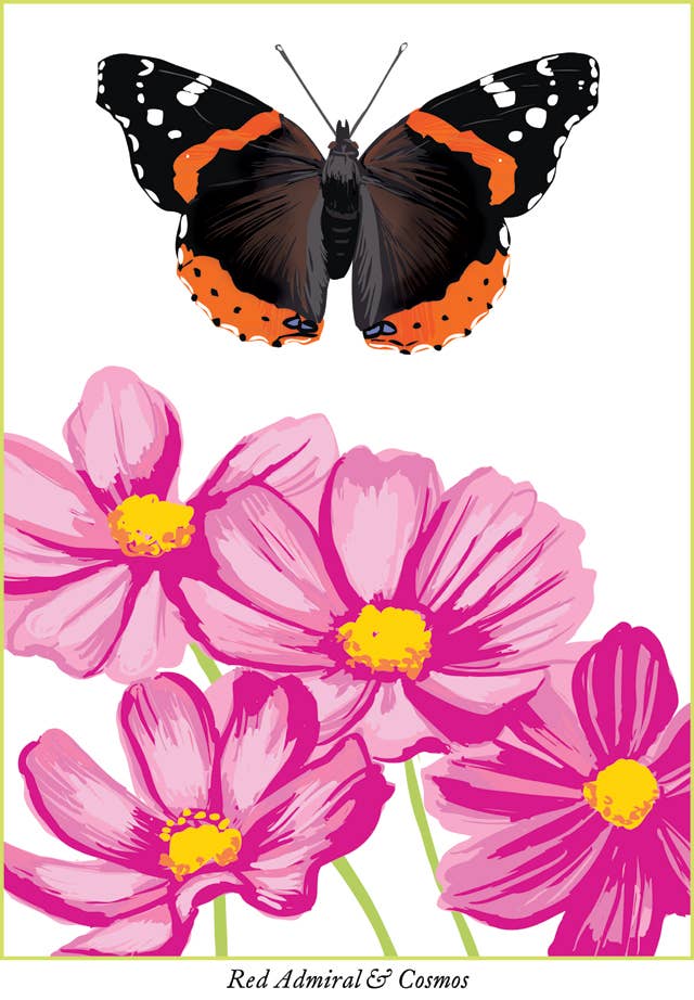 Rigel Paper - Wholesale Magnet - RBU-736 Red Admiral Butterfly Magnet0