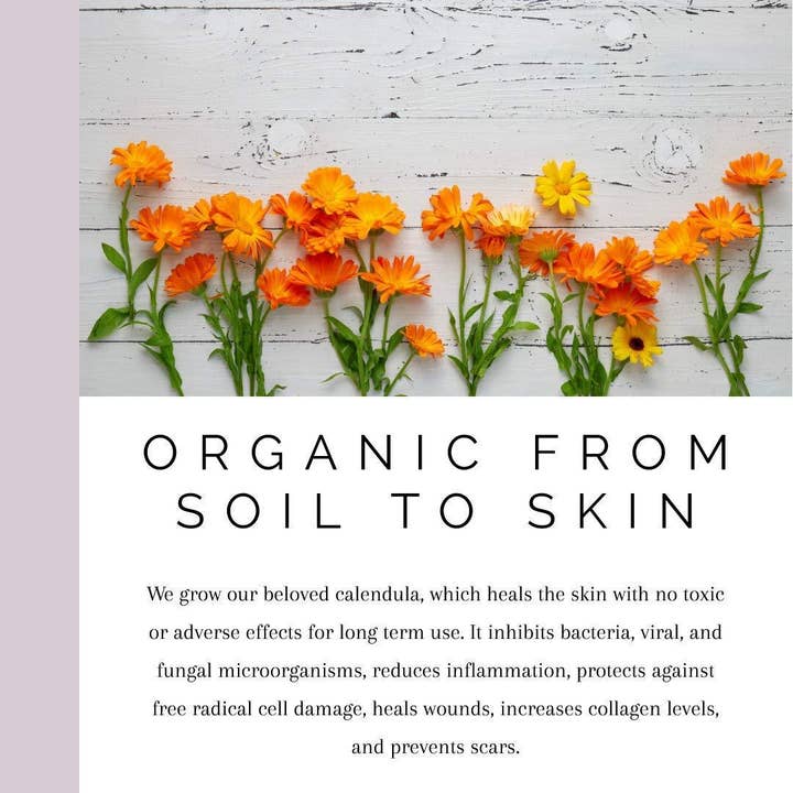 Bodyceuticals - Wholesale Facial Moisturizer - Neroli + Calendula Firming Creme5