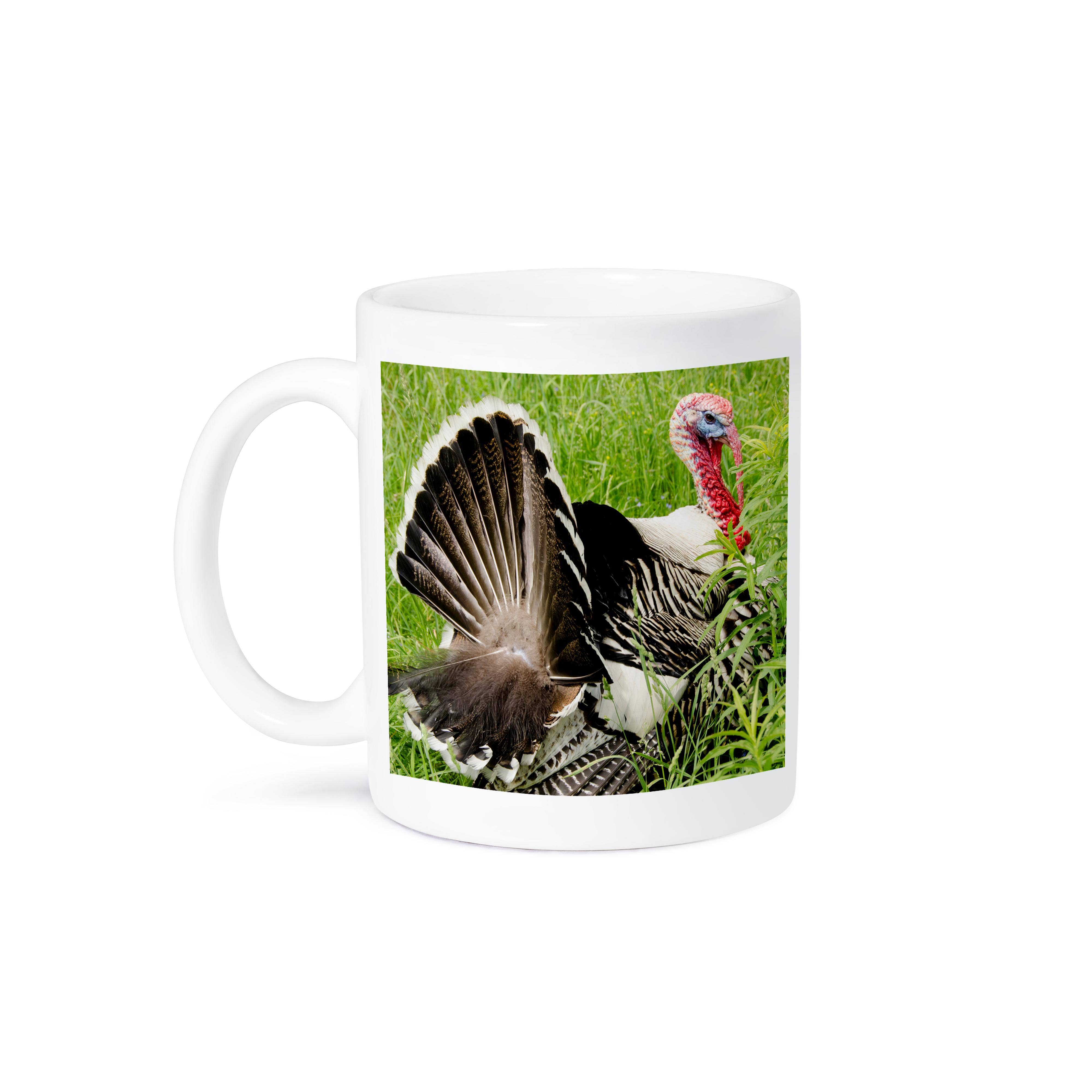 3dRose - Wholesale Coffee Mug - 3dRose, USA, New York, Cooperstown. Domestic tom turkey, courtship display., Mug8