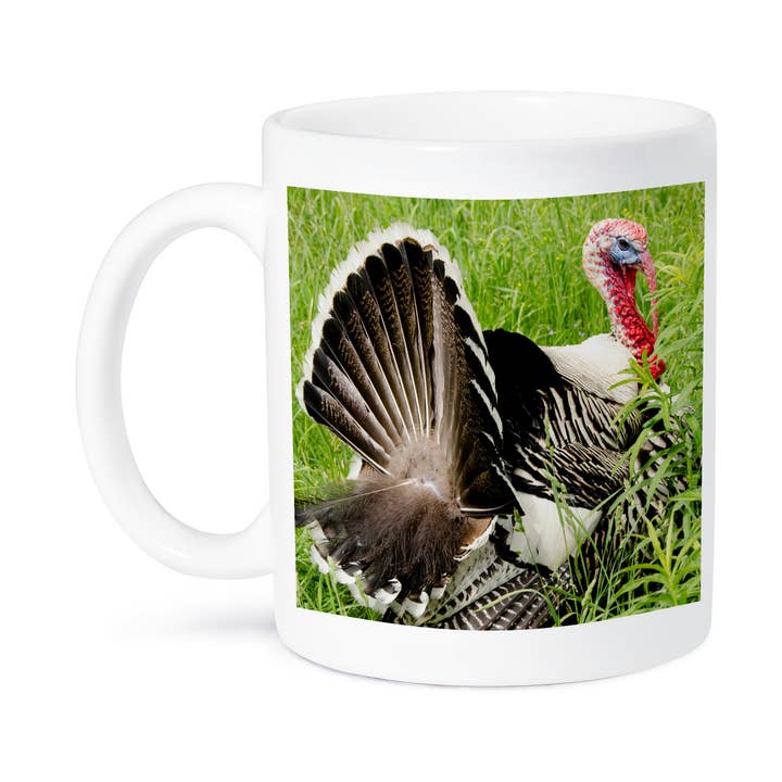 3dRose - Wholesale Coffee Mug - 3dRose, USA, New York, Cooperstown. Domestic tom turkey, courtship display., Mug8