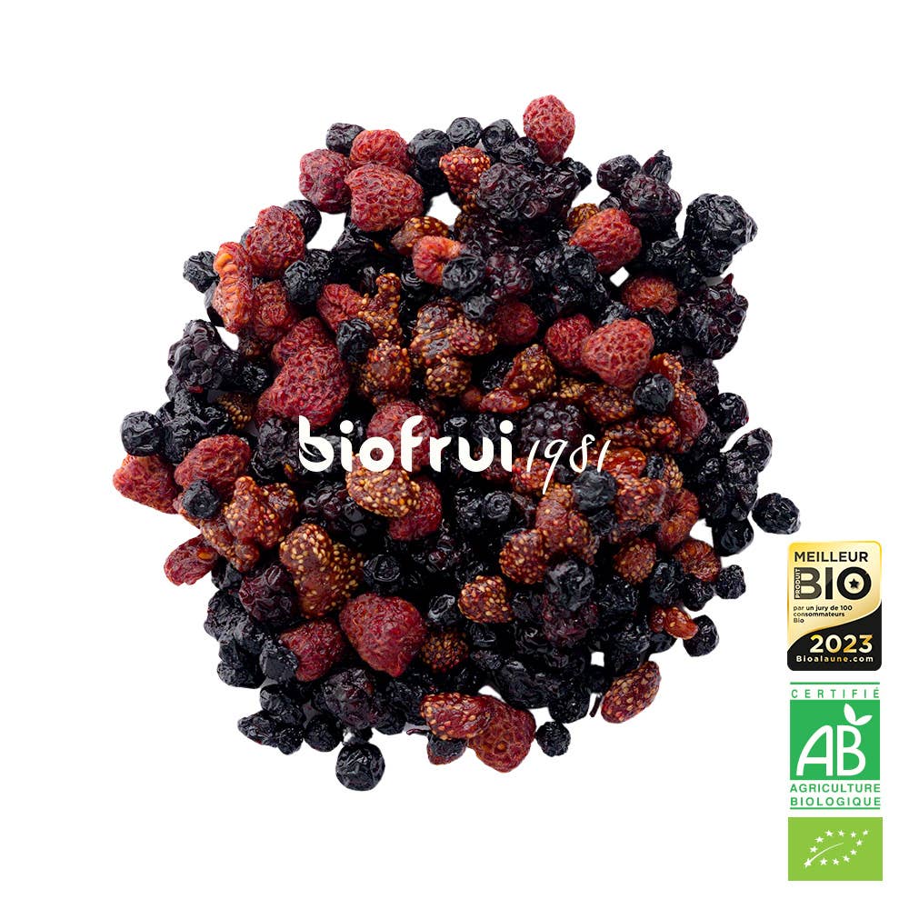 BIOFRUI1981 / Ex-Biofruisec - Wholesale Dried/Dehydrated Fruit - Organic Dinaric Alps Dried Red Superfruits Mix | 100g1