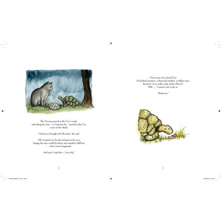 HarperCollins - Wholesale Philosophy Book - The Cat Who Taught Zen : James Norbury6