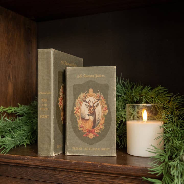 Journal de 7" Cerf des Champs et Forêts pour la vente par Ragon House