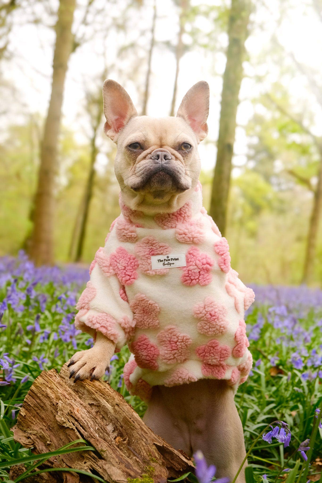 The Paw Print Boutique - Wholesale Pet Coat - Dog - The Peony Pink Floral Fleece7