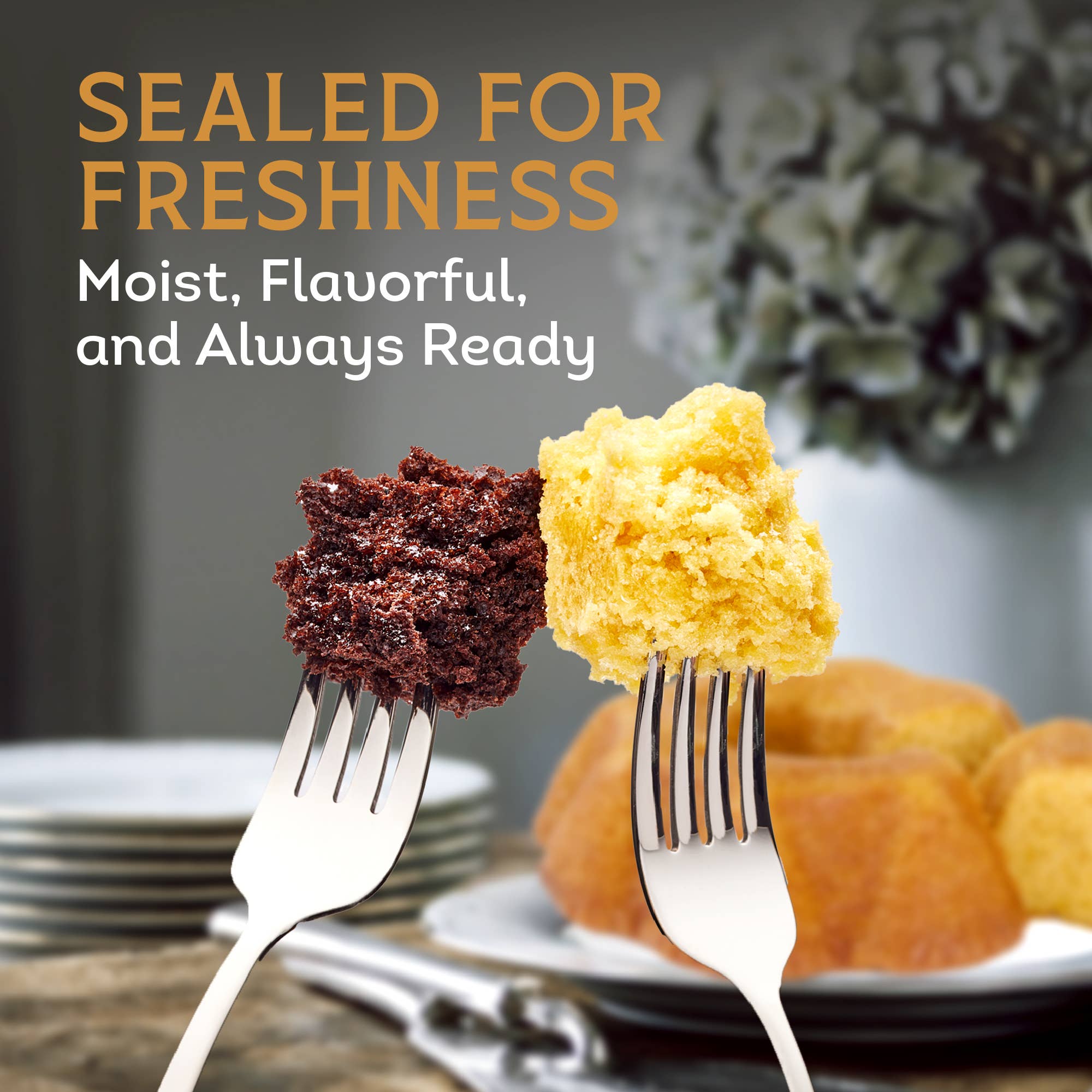 Tortuga Spirit Cake Company - Venta al por mayor Tarta - Tortuga Provenance Seis Pack3