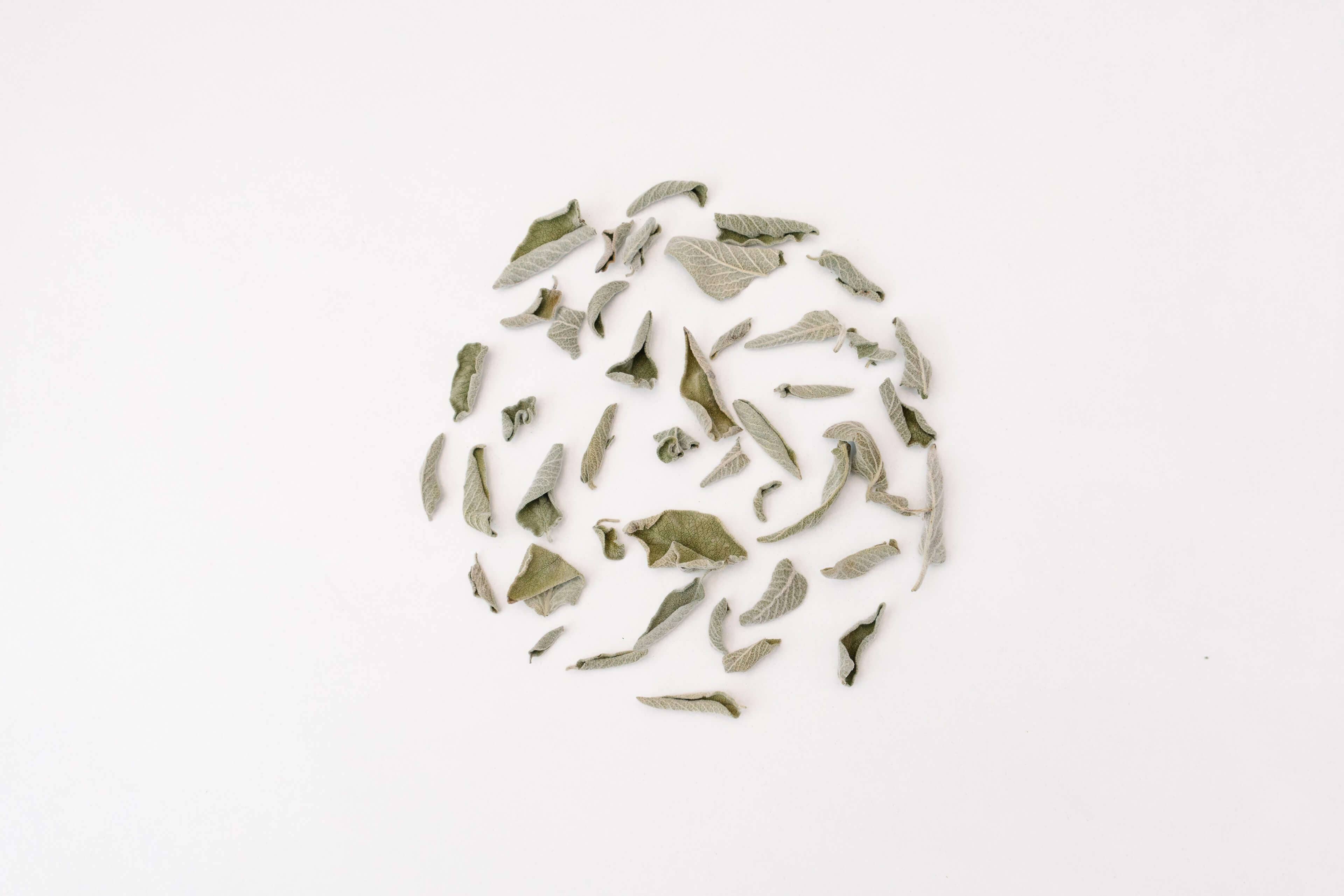 rhoeco - fine organic goods - Wholesale Tea Bags - Monovarietal Herbal Teas [Bio] - Compostable Pyramid Teabags8