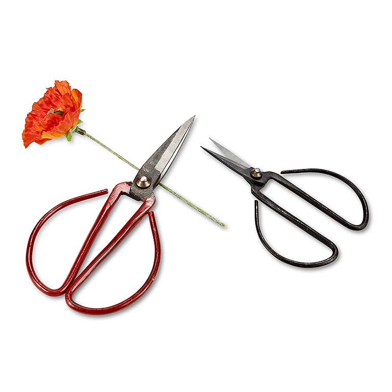 Abbott - Wholesale Garden Tool - Flower Stem Shears - 3 Asst Colors6