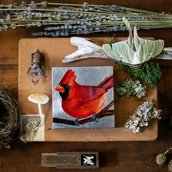 Cardinal for wholesale by Joseph Bradley Studio