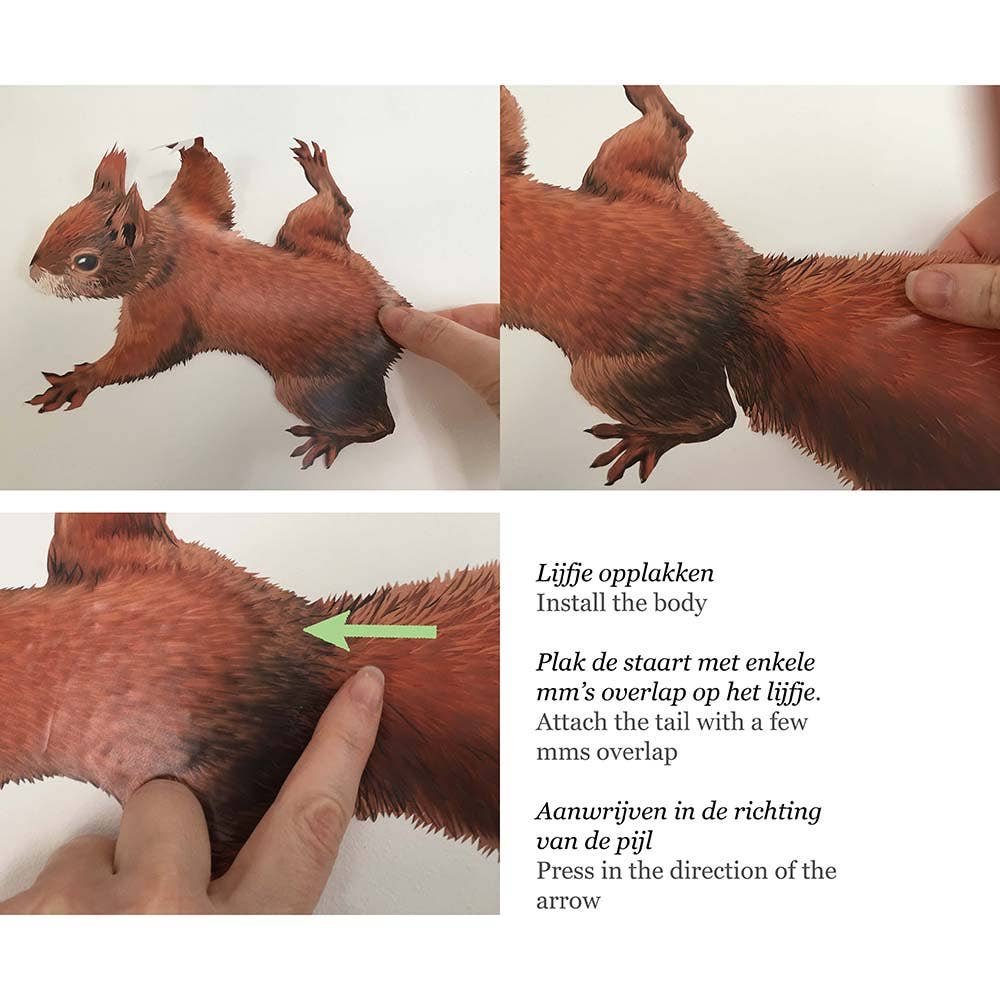 MYRTE - Wholesale Wall Decal/Stickers - Squirrel Illustration Wall Decal Wall Stickers7