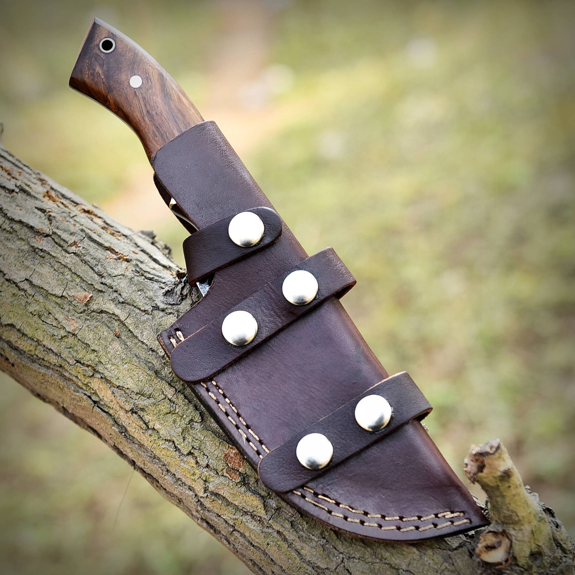 Deer Edge - Wholesale Pocket Knife/Holder - 10" Bushcraft Tracker Knife with Leather Sheath for men1