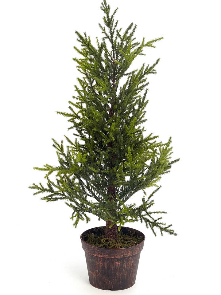 CEDAR W/POT 22" for wholesale by Studio Specialties
