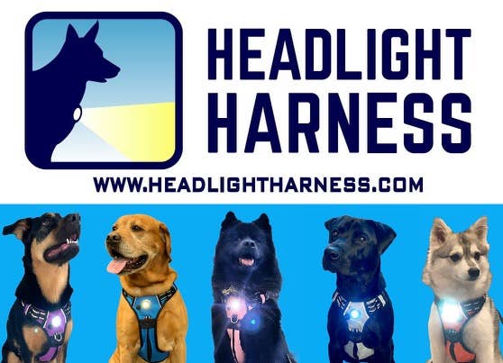 Headlight Harness - Wholesale Pet Harness - Dog - Headlight Harness LED  Reflective Dog/Cat Harness 15