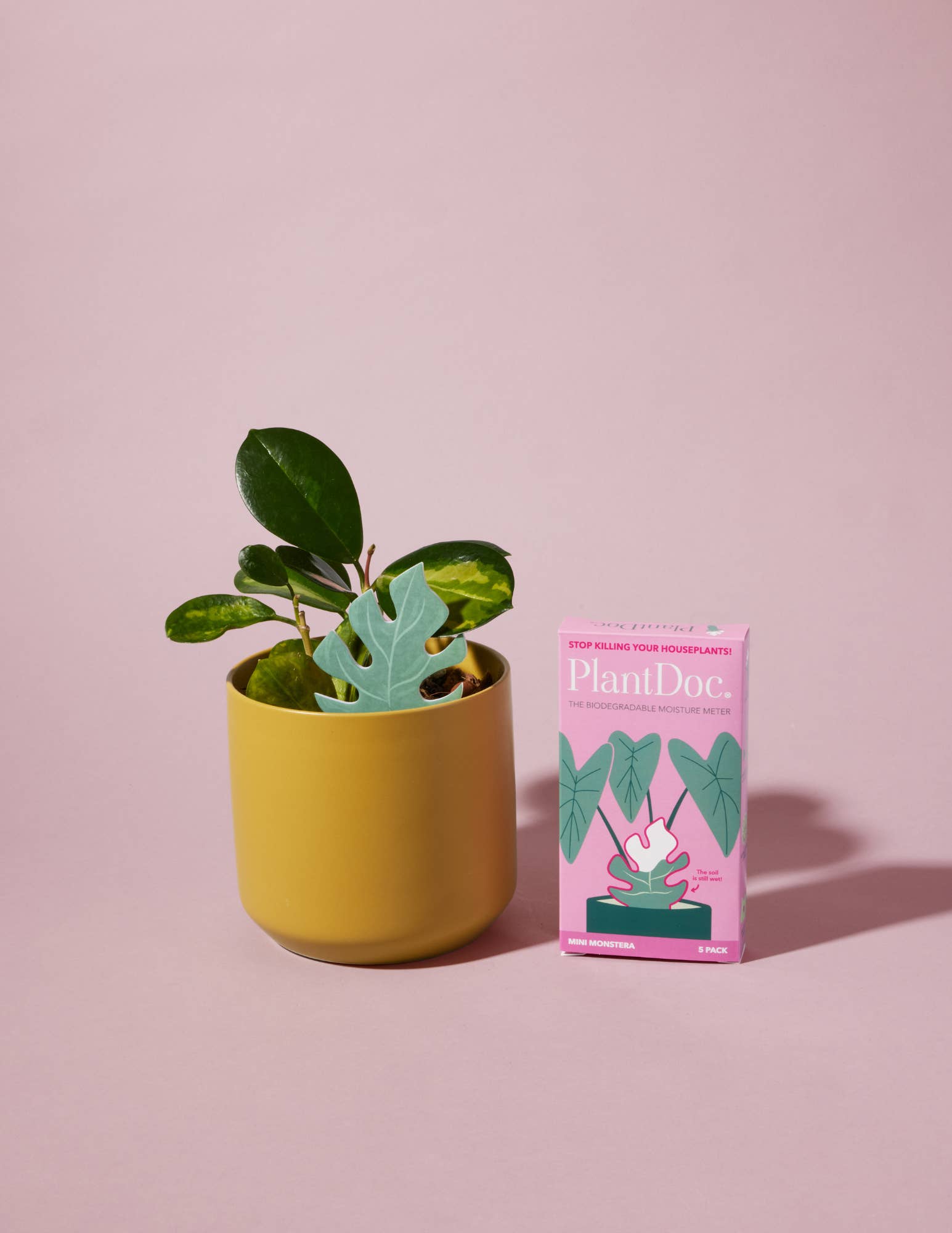 PlantDoc - Wholesale Garden Tool - Mini Monstera PlantDoc: Color-Change Plant Moisture Meter