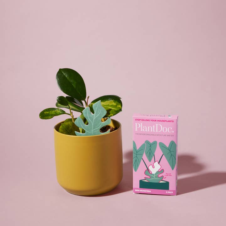 PlantDoc – wholesale Garden tool – Mini Monstera PlantDoc: Color-Change Plant Moisture Meter