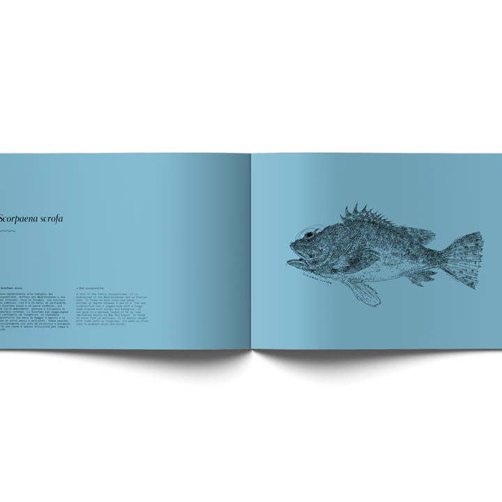 Cirnauti - Wholesale Display Book - Traits of the Mediterranean2