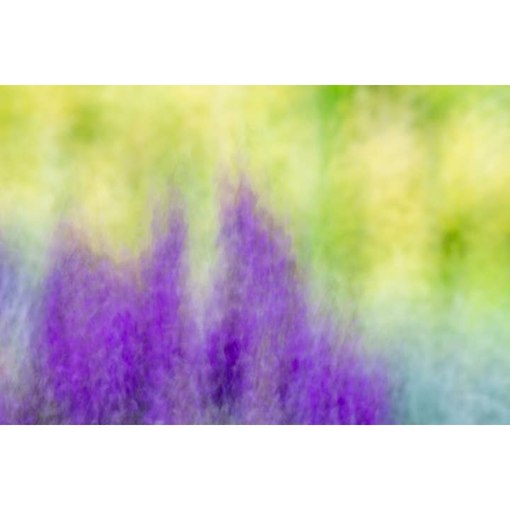 Freedom to Flourish Fine Art Print for wholesale by Christi Kraft Photography