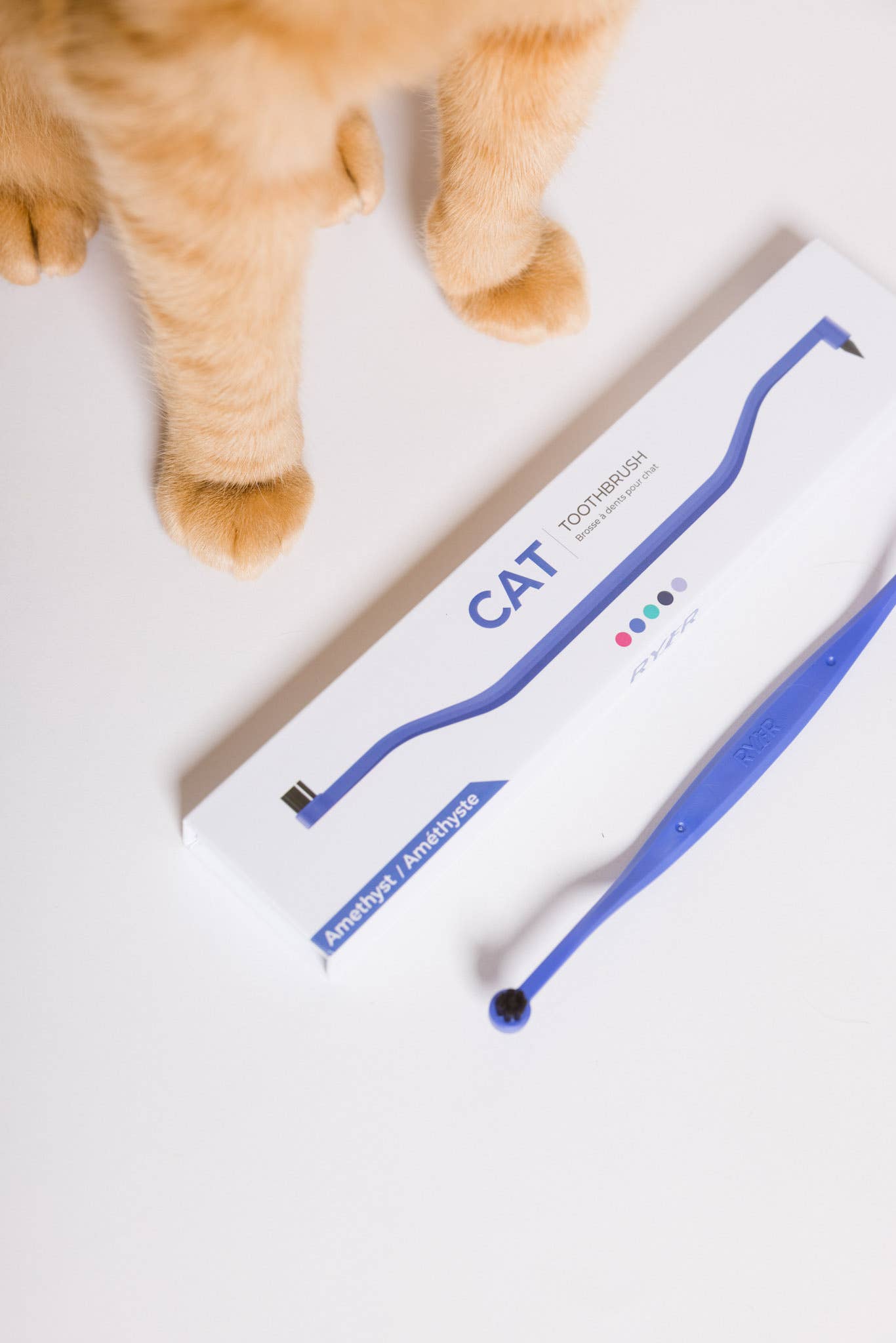 RYERCAT - Wholesale Pet Brush - Cat/Dog - Dual Sided Cat Toothbrush - Mix n' Match Colors!9