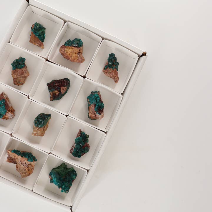 Mi Esperanza Minerals - Wholesale Spiritual Stone/Crystal - Dioptase Flat Set of 12