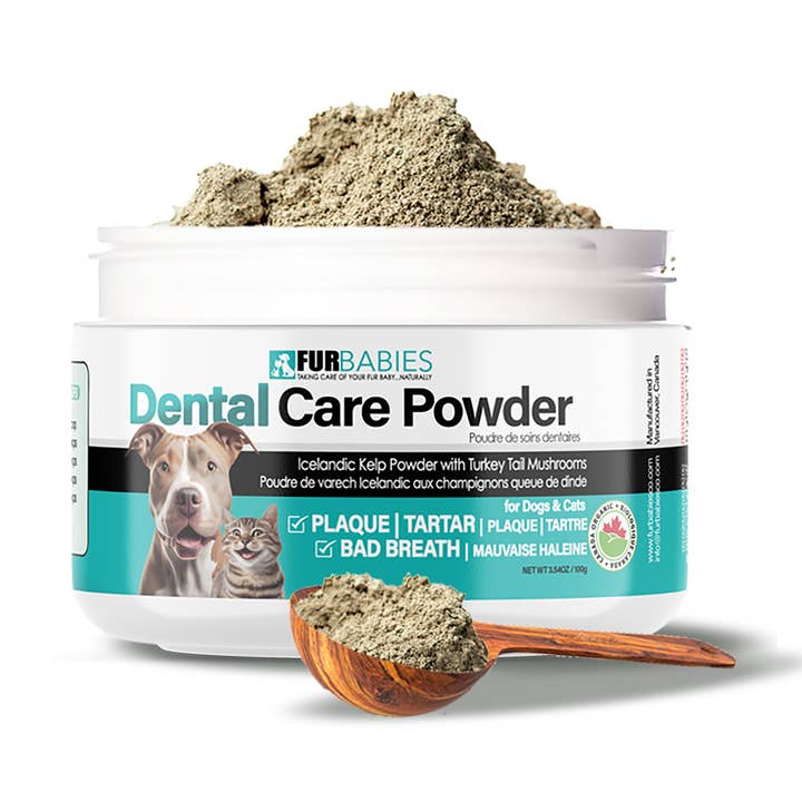 Dental Care Powder for Pets 100g or 40g jar for wholesale by FurBabies Pet Products