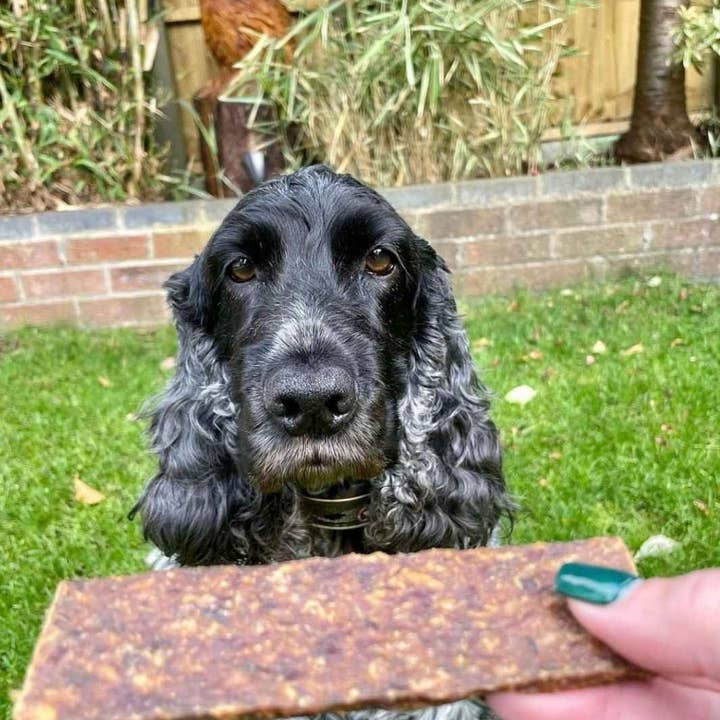 Truffe Délice – wholesale Pet treats – Dog – Lamb chops1