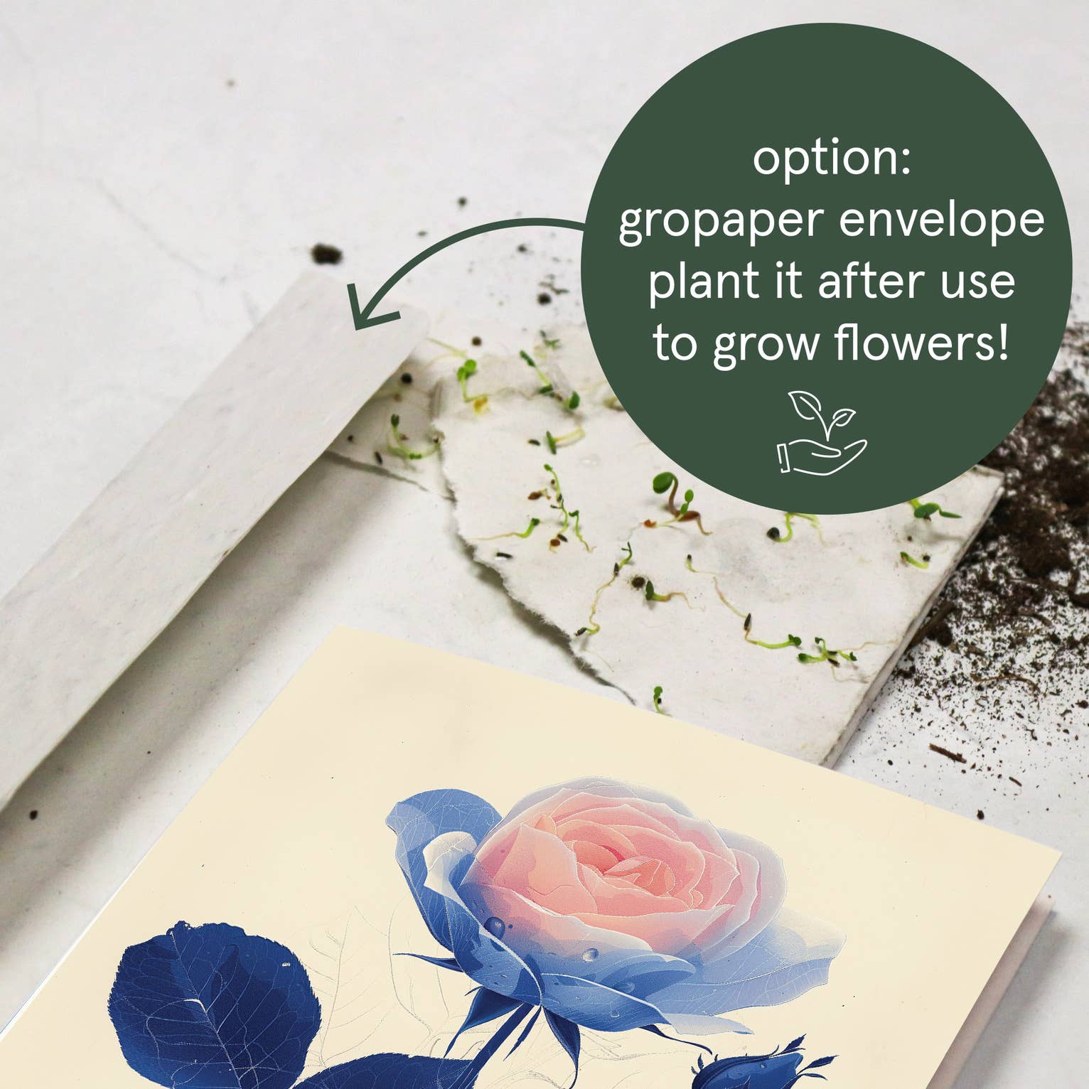 Botanopia - gifts , decor and cards for plant lovers – Engroshandel Fødselsdagskort – Rose | Hverdagskort | Fødselsdagskort med månedsblomst7