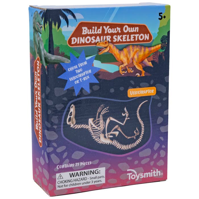 Toysmith - Wholesale Toy Set - Kids - Toysmith BYO Dinosaur Skeleton